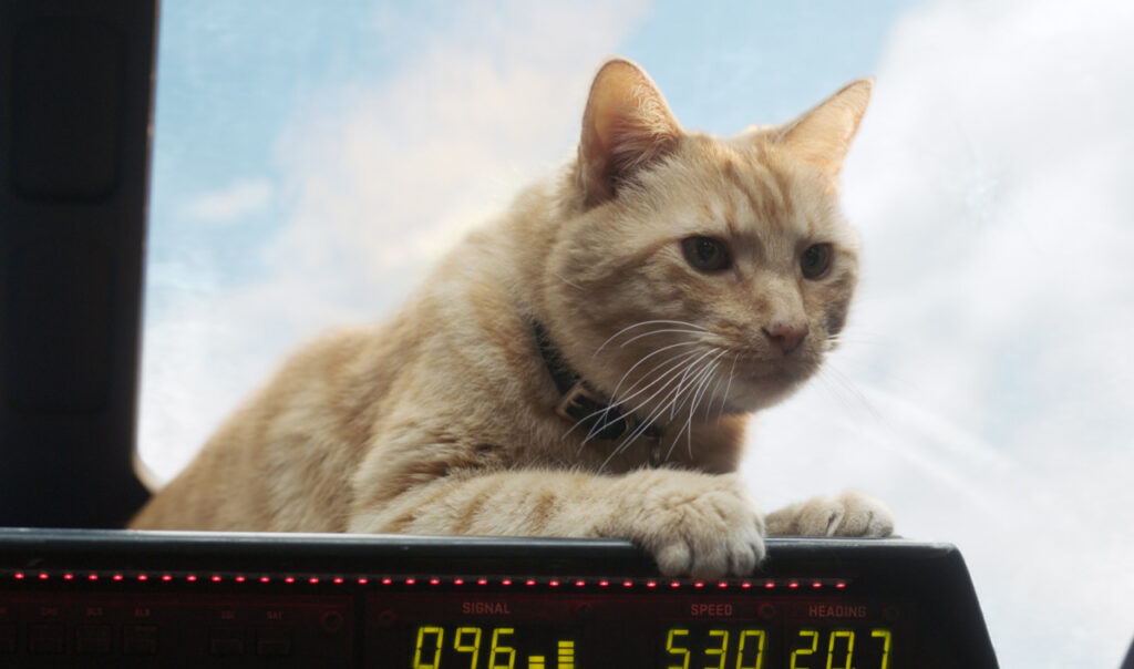 2025 MCU 페이즈1 시간순 마블 영화 순서 완벽정리: 세계관 시작과 연결고리, 쿠키영상까지 한눈에! 8 고양이 구스