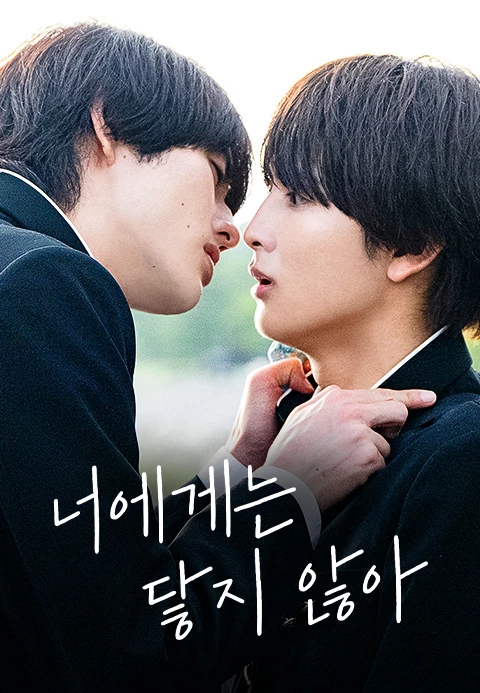 너에게는 닿지않아 포스터
